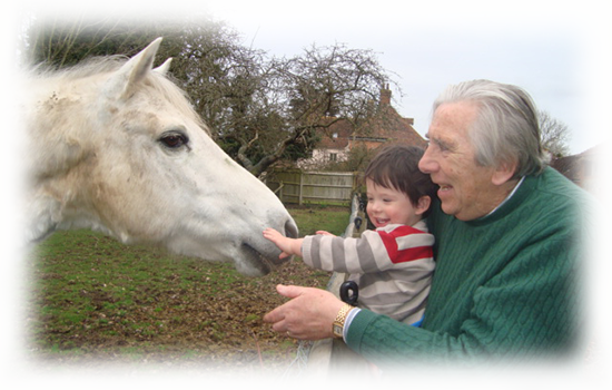 Man and Grandson petting horse