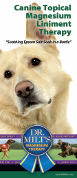 Brochure Cover