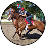 2 horses break from the gate
