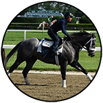 Horse galloping around track